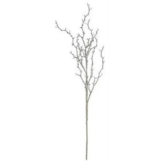 S1412-CMS