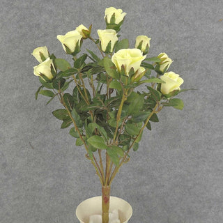 S5265-GRN